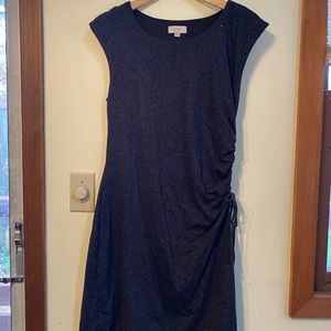 LOFT Black Dress with Side Ruching